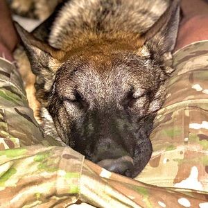 Meet your Posher, Christopher